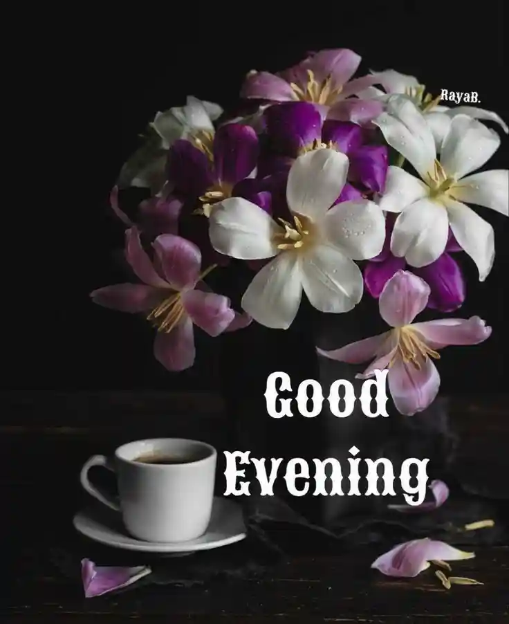 good-evening-flowers-images