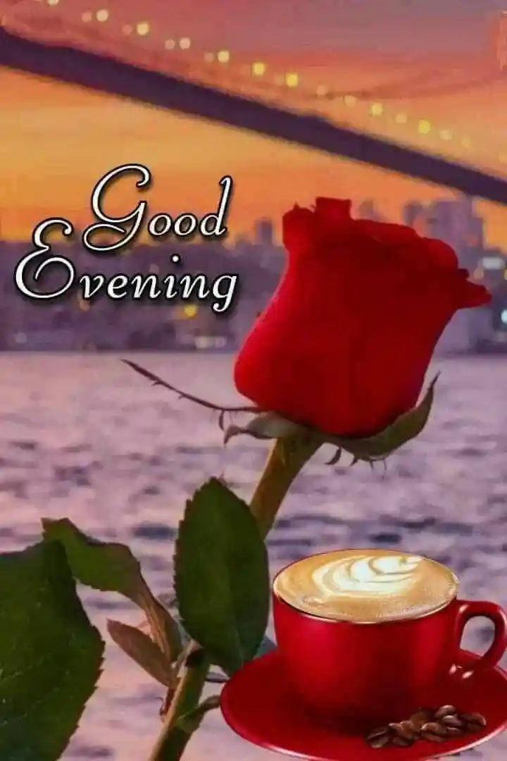 good-evening-flowers-images