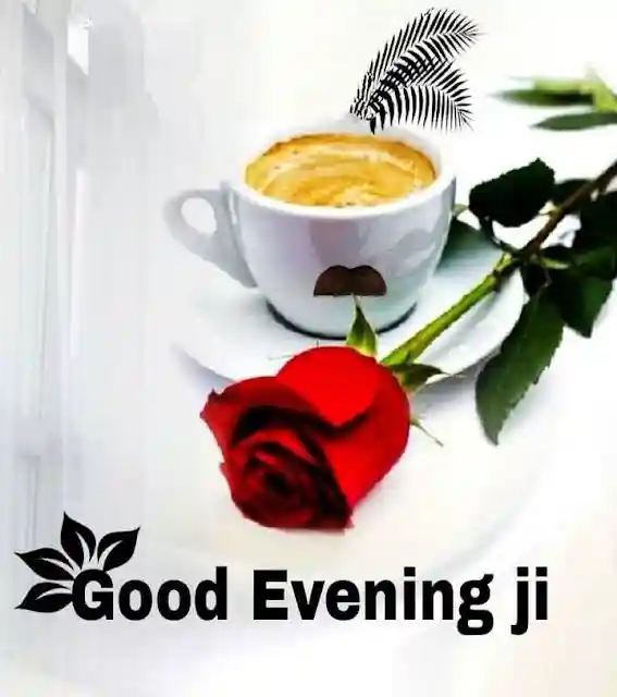 good-evening-flowers-images