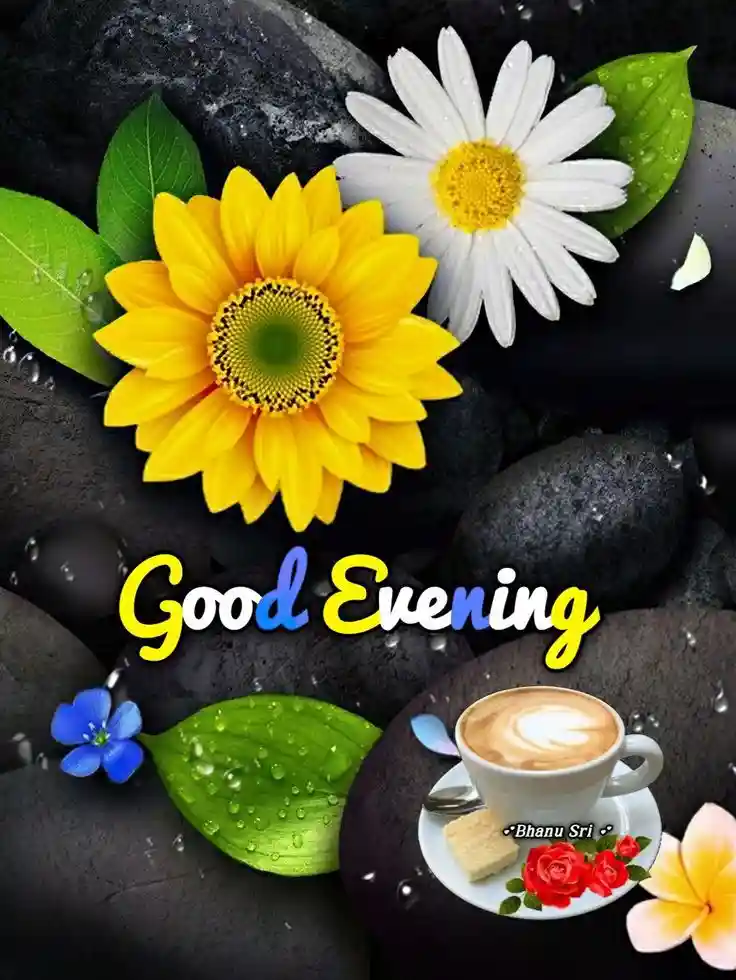 good-evening-images-for-whatsapp