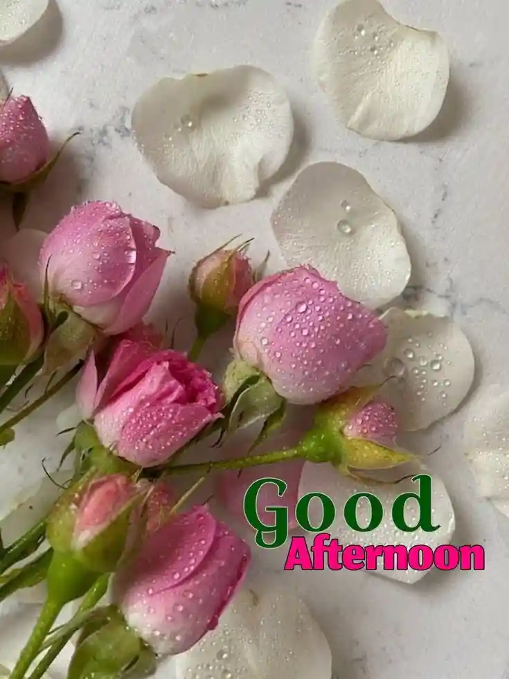 instagram-good-afternoon-images