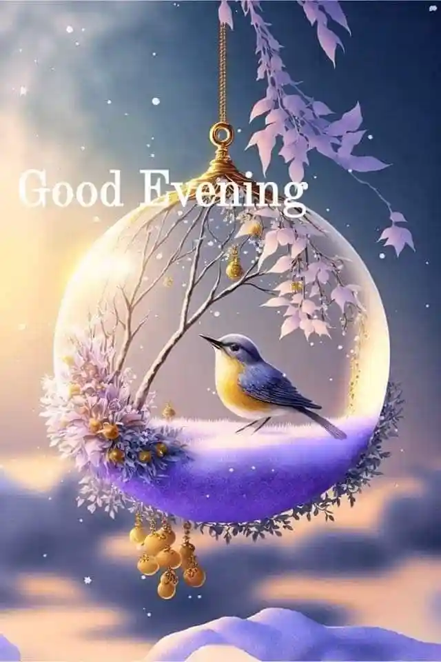 instagram-good-evening-images