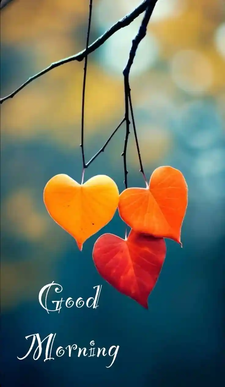 instagram-good-morning-images