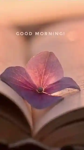 instagram-good-morning-images