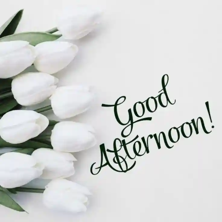 lovely-good-afternoon-images