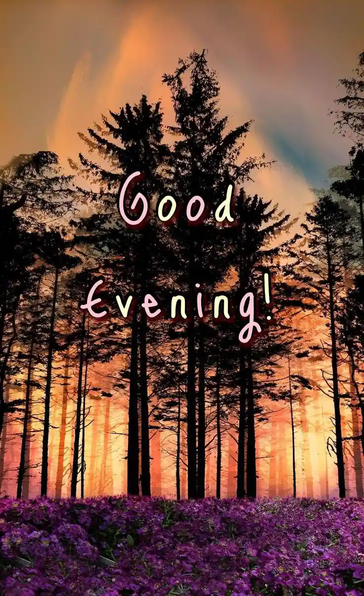 lovely-good-evening-images