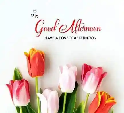 new-good-afternoon-images