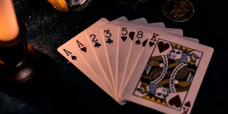 Casino Developer - The Journey of Industry Giants