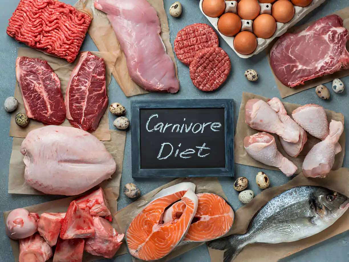 Beginner's Guide to the Carnivore Diet