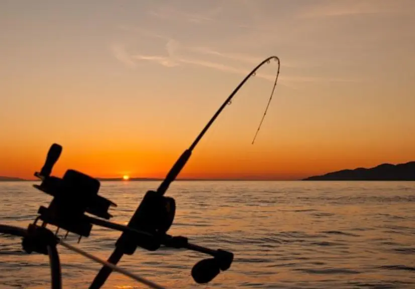 Fishing Trips Off the Grid How to Stay Comfortable and Prepared