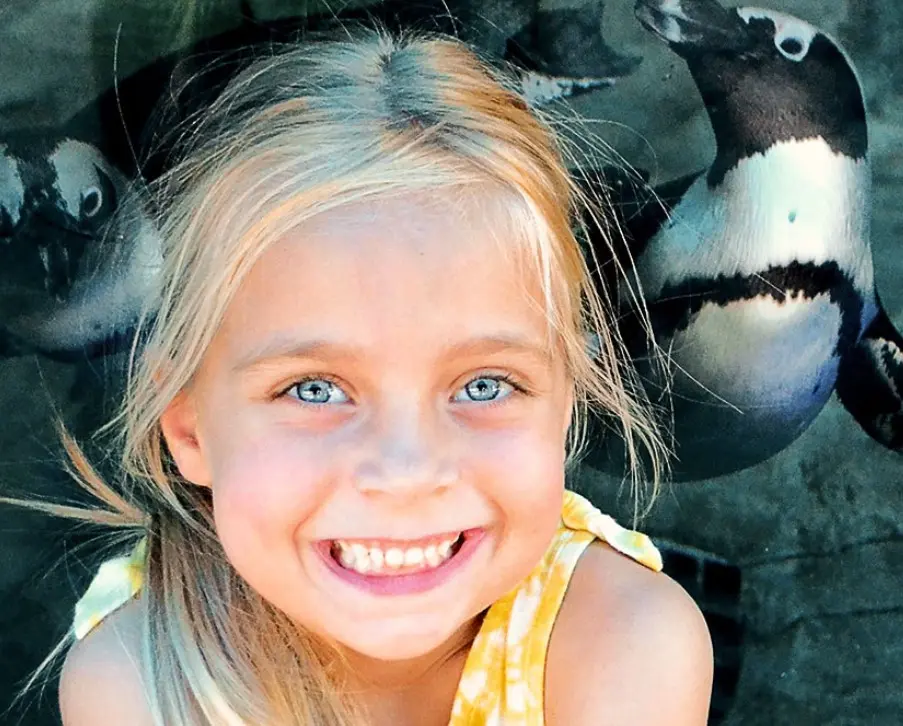 Miami Seaquarium A Premier Marine Adventure in Florida