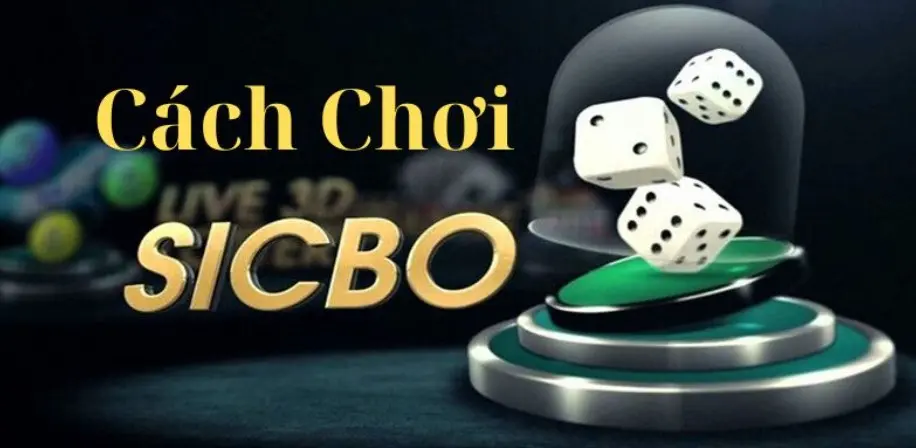 Sicbo Sunwin Secrets to Avoid Losing Everything