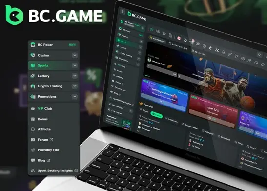 What Sections are Featured in BC Game Casino