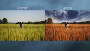 The Art of Authenticity: Natural Photo Editing in a Filtered World